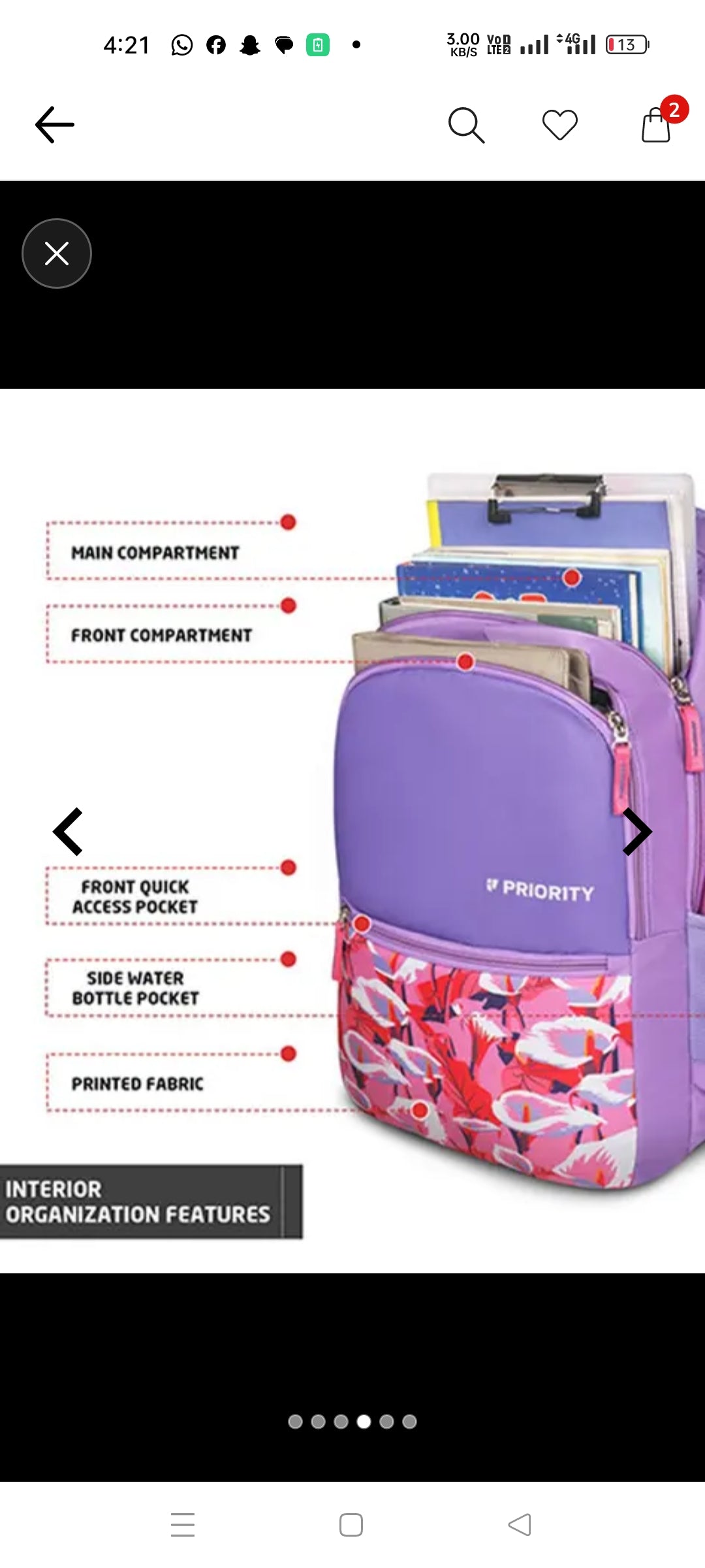 Priority flamingo printed backpack